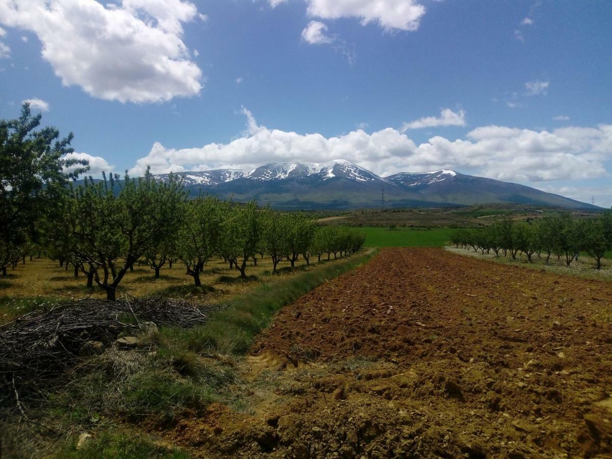 فيلا Casa Tuerta Alcalá de Moncayo المظهر الخارجي الصورة